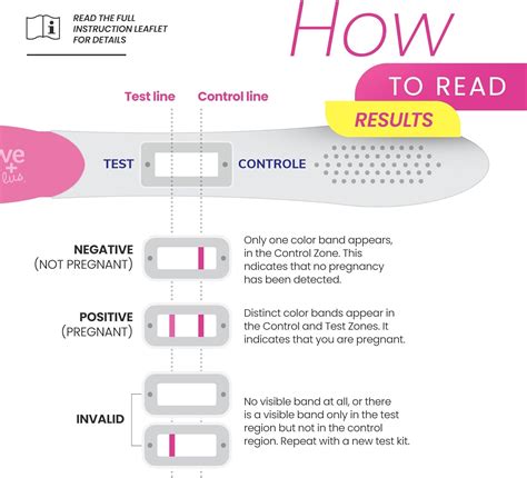 Buy Conceive Plus Pregnancy Test 2 Pack Early Detection Pregnancy Test Easy To Use Discreet