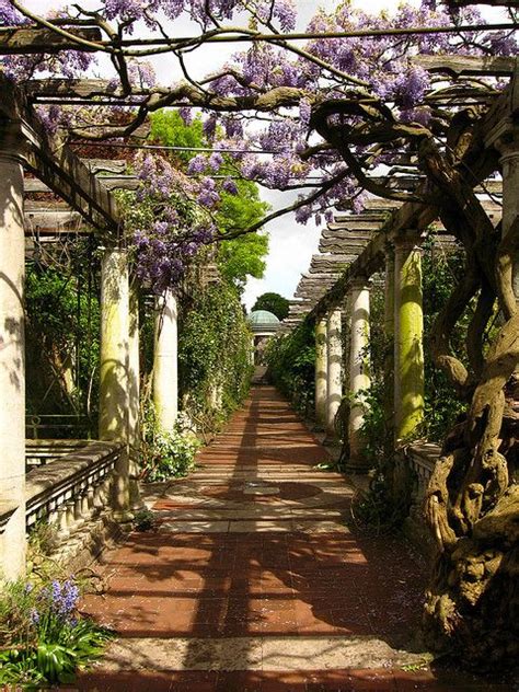 Pergola Hill Garden London S Best Kept Secret Artofit