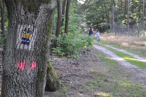 Rowerowa Rewolucja Sozosfera ochrona środowiska