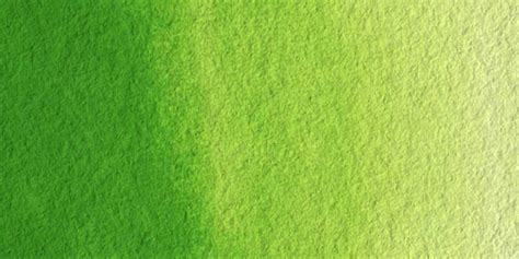 Watercolor Grass Texture at PaintingValley.com | Explore collection of ...