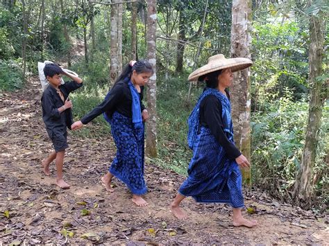 Berkunjung Ke Desa Wisata Saba Budaya Baduy Wisatawan Gak Boleh Bawa