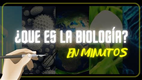 ¿qué Relación Tiene La Biología Y La Geografía Comprendermx