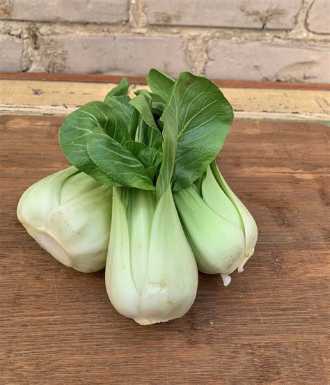 List 90 Pictures Pictures Of Bok Choy Superb