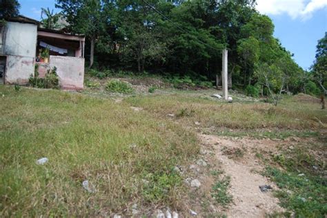 Residential Lot For Sale In New Green Manchester Jamaica