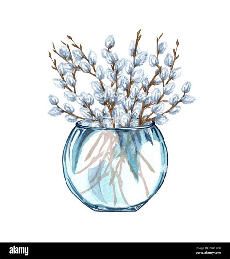 Watercolor Bunch Of Pussy Willow Twigs In A Glass Vase Spring Bouquet