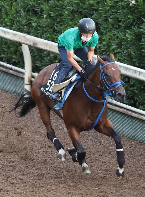 【スプリンターズs】モズメイメイ2週前追いは坂路53秒2、生野助手「状態はいい」 競馬写真ニュース 日刊スポーツ