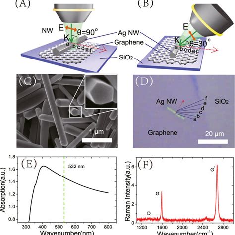 Schematic Diagram Of A Graphene Coupled Ag Nanowire NW Hybrid