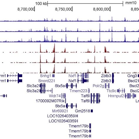 Ucsc Genome Browser View Of Atac Seq And Mrna Seq Coverage Tracks