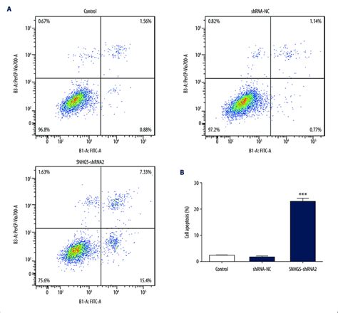 Inhibition Of Snhg5 Induced Cell Apoptosis As Shown By Flow Cytometry