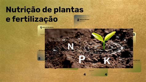 Nutri O De Plantas E Fertiliza O By Lais Ferreira On Prezi