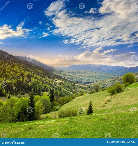 Village On Hillside Meadow With Forest In Mountain At Sunrise Stock