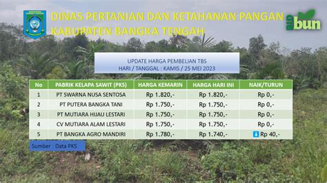 Update Harga Tandan Buah Segar Tbs Mei