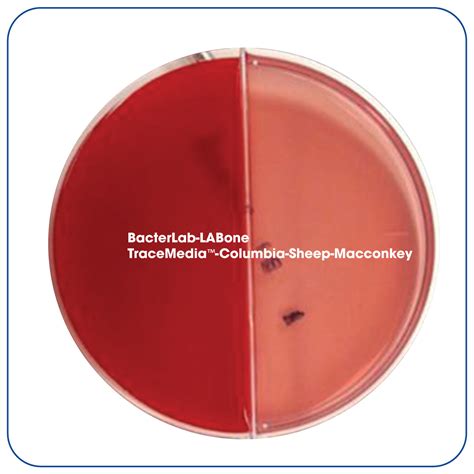 Tracemedia™ Macconkey Agar Samonella Shigella Agar Labone Scientific