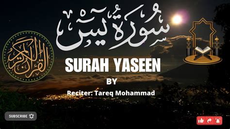 Surah Yaseen Ya Sin Beautiful Quran Recitation Qari