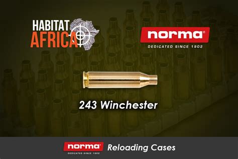 Norma Reloading Brass 243 Winchester 100pcs Habitat Africa