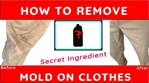 How To Remove Mold From Clothes – Utaheducationfacts.com