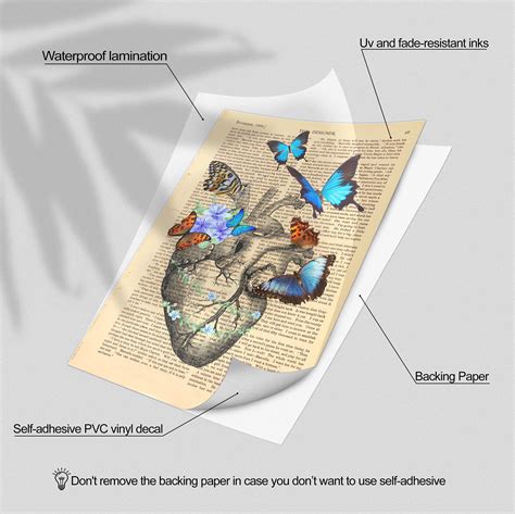 Mua Hk Studio Vintage Butterfly Posters Decal In Dictionary Art