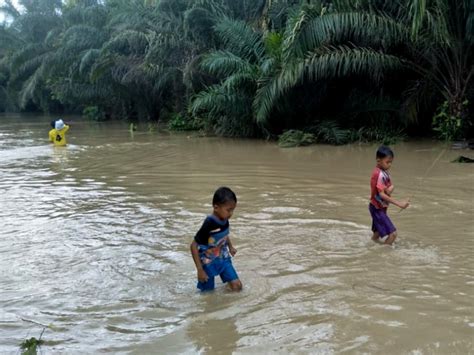 Ibu Kota Baru Di Kalimantan Timur Terpapar Banjir Tagar