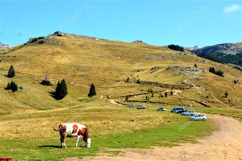 Macizo De Bucegi En Las Monta As De La Curva De Los C Rpatos