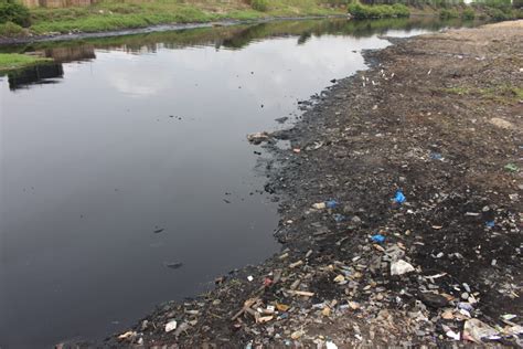 Depollution Du Canal Danoumabo Ciapol