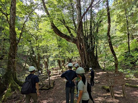 京都大学「ilasセミナー：森での感動を科学する」実習報告 芦生研究林