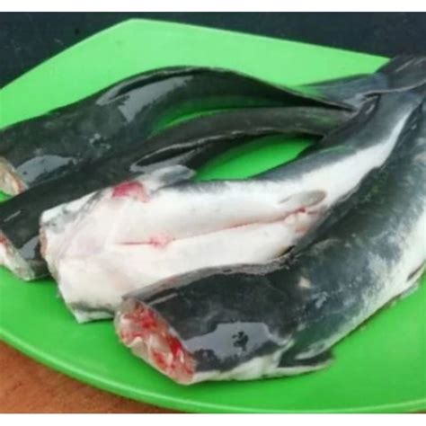 Jual Ikan Lele Segar Sedap 1000 Gr Shopee Indonesia