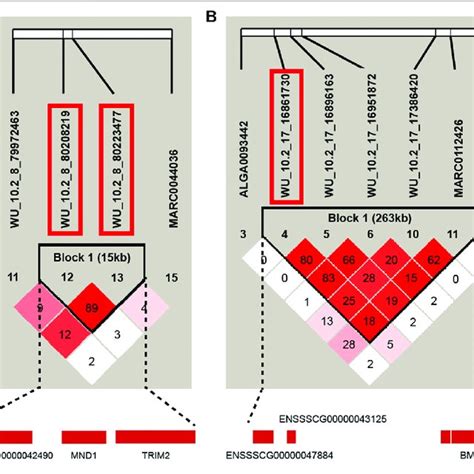 | Haplotype blocks for significant SNPs indicate a haplotype block ...