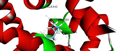 Interaction Of Valproate Vpa And Lxr Protein Vpa Binding To The