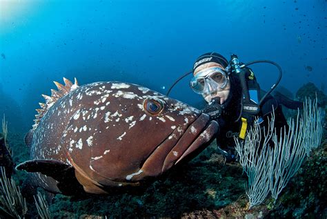 Q A An Ecologist S Passion For Preserving The Ocean S Pristine Places