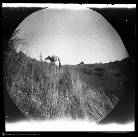 Amnh Research Library Digital Special Collections Man With Loaded