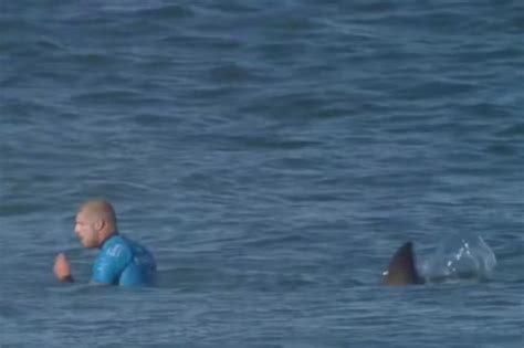 En vidéo un surfeur échappe à une attaque de requin La Presse