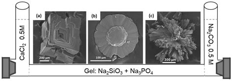 Crystals Free Full Text Crystallization Of Calcium Carbonate And