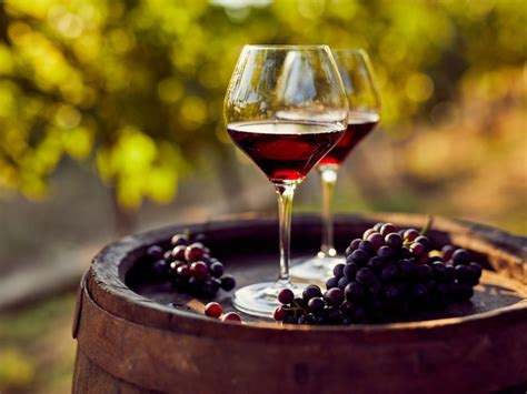Planting Red Wine Grapes For National Red Wine Day | Gardening Know How