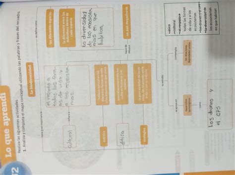 Analiza Y Completa El Mapa Conceptual Deseando Las Palabras Y Frases