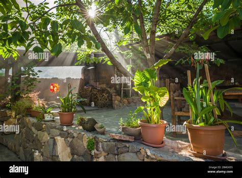 Armenia, Areni, cafe courtyard, morning Stock Photo - Alamy