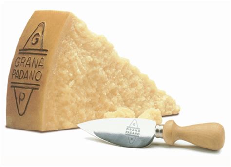 Grana Padano Parmesan Block Approx Weight K Debriar