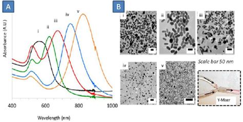 A Uv Vis Spectrum Of Gnrs Of Various Aspect Ratios B Tem