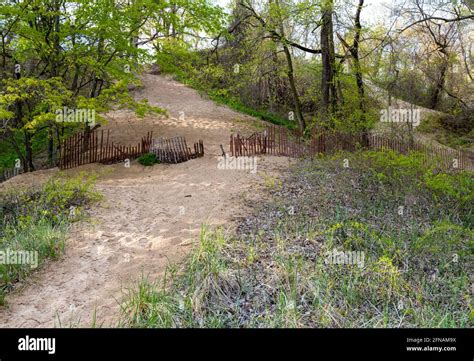 Indiana Dunes State Park Along Lake Michigan Hi Res Stock Photography
