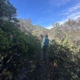 Temelpa Trail California Reviews Map Alltrails