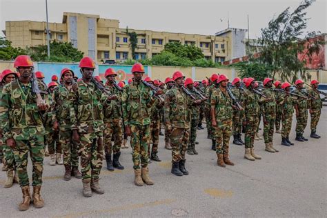 Somali National Army Takes Charge of Presidential Palace Security