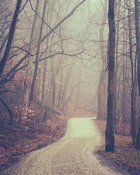 Spooky Autumn Path Foggy Lane Photography Print Twisted Trees