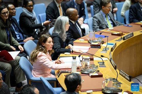 Un Security Council Revisits Palestine S Un Membership Application