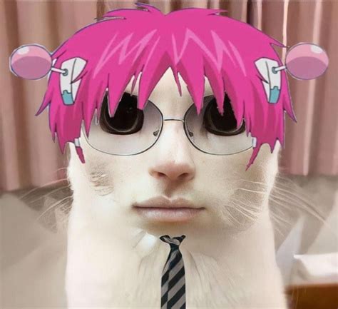 Saiki K Cat