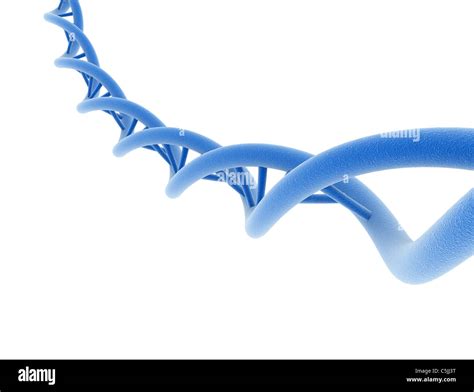 DNA double helix model Stock Photo - Alamy