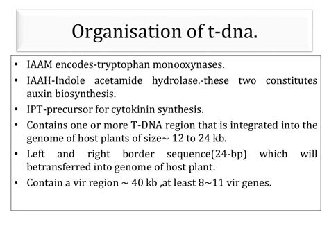Gene Transformation Methods