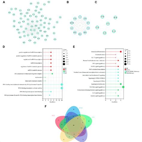 Ppi Network Analysis Of Key Modules And Identification Of Hub Genes