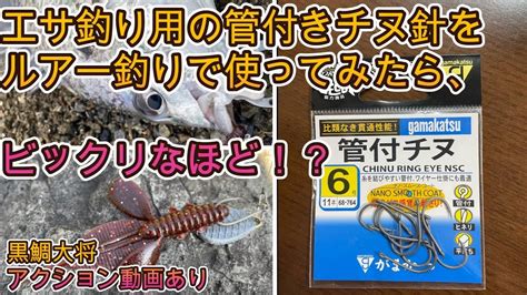 ボトムチヌyoutube動画完成！【管付きチヌ針＋根魚大将＋ジカリグシンカーフラット】 瀬戸内ing