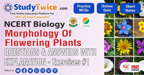 Morphology Of Flowering Plants Neet Biology Questions Test 1