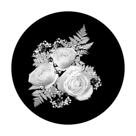 Sr 0075 Rose Group