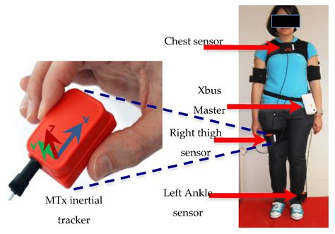 Sensors Free Full Text Physical Human Activity Recognition Using Wearable Sensors